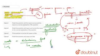 Assertion  Leguminous plants are nitrogen fixers Reason  Leguminous plants have [upl. by Aseneg]