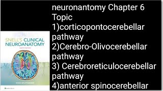 Cerebellum Afferent Fibers NeuroanatomymadeeasyneuroanatomyNeurosciencesAnatomy [upl. by Bigg774]