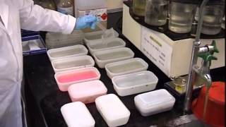 Tissue Processing For Light Microscopy [upl. by Dnalel937]