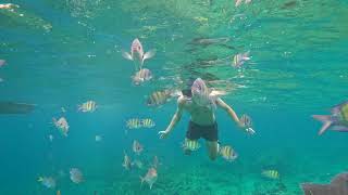 Snorkeling PA ดำน้ำ เกาะหลีเป๊ะ Lipeallmygreattravels​ [upl. by Garber]