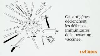 Vaccins  à quoi servent les adjuvants [upl. by Kruter393]