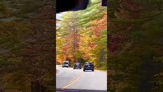 Kancamagus Highway  White Mountain National Forest  Passaconaway Road Albany  New Hampshire USA [upl. by Nomaj]