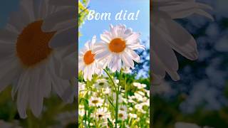 MENSAGEM DE BOM DIA 🌼UM NOVO DIA NOVAS POSSIBILIDADES PARA SER FELIZ🌻 [upl. by Sid596]