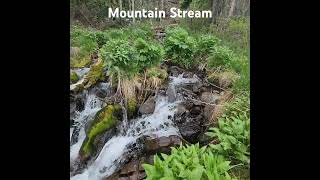 mountain stream colorado [upl. by Harragan]