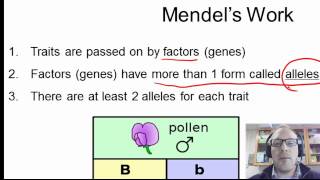 Classical Genetics Session 1 [upl. by Julita]