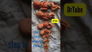 baby development from 4 months  भ्रूण का विकास माह दर माह pregnancy baby fetus embryo growth [upl. by Eob498]