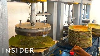 How Leaves Are Made Into Biodegradable Plates [upl. by Rhianna154]