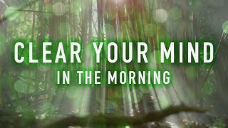 Clear Your Mind in the Morning  A Guided Mindfulness Meditation 8 minutes [upl. by Routh]