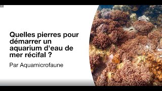 Quelles pierres pour démarrer un aquarium deau de mer récifal [upl. by Lamar]