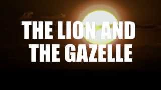 The Lion and Gazelle  Running Inspiration [upl. by Nial269]