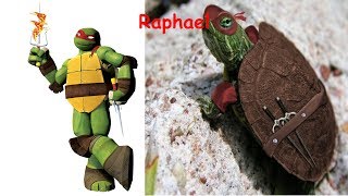 TMNT 2012 in REAL LIFE  Teenage Mutant Ninja Turtles In Real Life [upl. by Allesor]