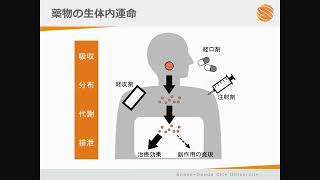 研究室紹介｜薬剤学・製剤学分野（薬学科）2 [upl. by Neehs453]