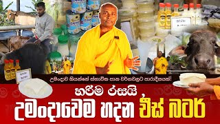 හරිම රසයි උමංදාවෙම හදන චීස් බටර් umandawa [upl. by Strader]