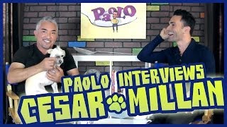 Cesar Millan On Training Dogs amp His New Show [upl. by Petta]