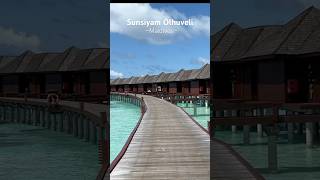 Sunsiyam Olhuveli maldives maldivesresorts maldivesislands sunsiyamolhuveli travelvlog travel [upl. by Hamnet409]