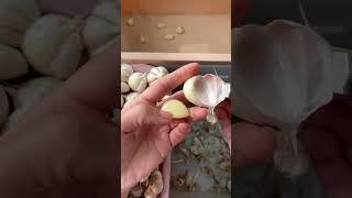 Garlic peeling tool satisfying [upl. by Sabella]