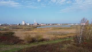 drone flight Moncton New Brunswick over the tall grass downtown at the waterfront [upl. by Lemieux551]