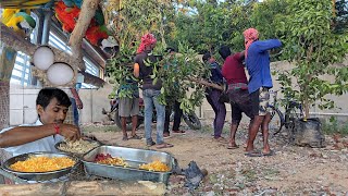 Large Trees Were Brought For Our New Outdoor Parrots Aviary [upl. by Helprin]