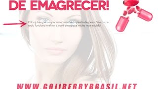 Goji Berry Emagrece Mesmo Realidade ou Propaganda [upl. by Lonni]