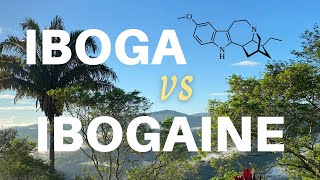 IBOGA VS IBOGAINE A Comprehensive Guide for Choosing Treatment or Ceremony [upl. by Sotos]