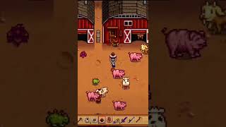 I’m confuzzled 😂since when have there been truffle crabs 🕐  toocozyjohnny stardewvalley [upl. by Idnym]