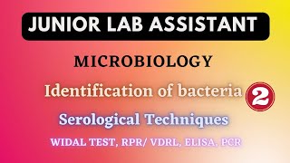 Microbiology  Identification of bacteria  Serological techniques JLA class 37 [upl. by Ynavoeg979]