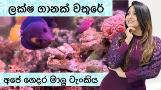 myhome ලක්ෂ ගානක් වතුරේ අපේ ගෙදර මාලු ටැංකිය vinusiriwardana video hobby aquarium fish [upl. by Anitap]