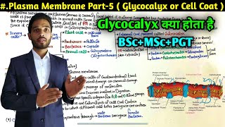 What is Cell Coat or Glycocalyx  Plasma Membrane Part5  BSc first Year  MSc  PGT  NEET [upl. by Abdul159]