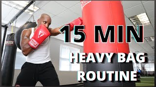 15 Minute PUNCHING BAG Workout for Weight Loss  Boxing for Beginners  Heavy Bag Cardio [upl. by Johannes914]