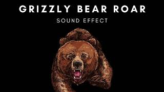 Grizzly Bear Roar  Sound Effect  Free [upl. by Durer]