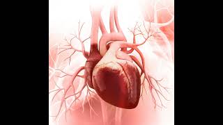 Right Ventricular Heart Failure [upl. by Ettenom]