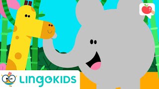 JUNGLE ANIMALS for Kids 🐯 🦍 VOCABULARY SONGS and GAMES  Lingokids [upl. by Larisa]