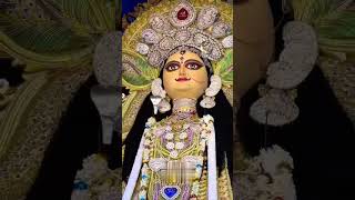 2024 Chandannagar Jagadhtri Pujadance viral shorts youtubeshort shortvideo jagadhatripujo [upl. by Oswald]