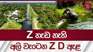 Z හැඩ නැති අලි වැටෙන Z D ඇළ  Z D canal  canal SriLanka  Discover SriLanka  Rupavahini News [upl. by Laurel]