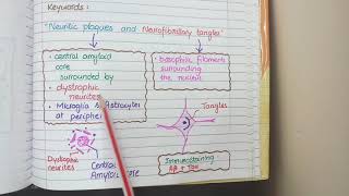 Alzheimers Disease Pathology  Amyloid beta and Tau  Morphology [upl. by Ytima454]