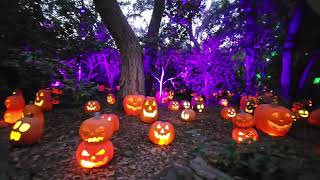 Descanso Gardens Halloween 2024 [upl. by Rosalinda]