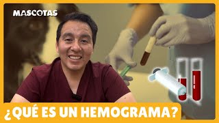 EL HEMOGRAMA ES CLAVE PARA DETECTAR ENFERMEDADES [upl. by Annoyi]