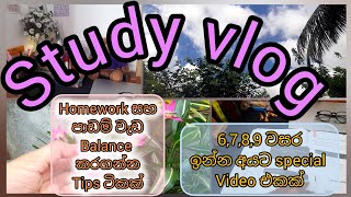 Study vlog📚Homework කරන නිසා පාඩම් කරන්න වෙලා නැද්ද😒Grade 6789 අයට ලේසියෙන් පාඩම් කරන්න tips🌈️ [upl. by Freeland184]