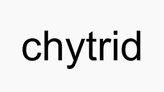 How to pronounce chytrid [upl. by Airtemad622]