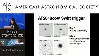 AAS 233 Press Conference Astronomers Have a Cow [upl. by Willyt]