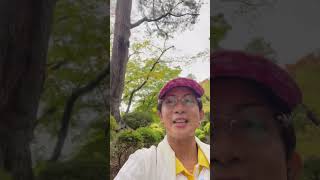 2nd itinerary MSC BELLISSIMA cruising msc2023 mscbellissima japan cruise akita [upl. by Garceau]