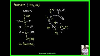 2 MutarotationAnomerFructoseFructosideEpimer [upl. by Eilak80]