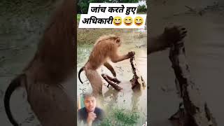 दम है तो हसी रोक के दिखाओ 🤣😂 youtubeshorts  funnyshorts comedyshorts funnyshort funnyvideo [upl. by Sergent]