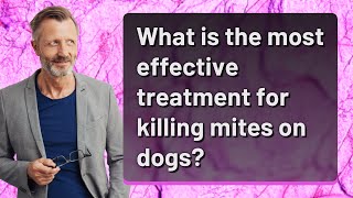 What is the most effective treatment for killing mites on dogs [upl. by Keil]