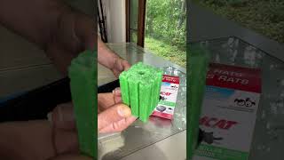 Tomcat Rat and Mouse Killer for Indoor Outdoor Use Review [upl. by Ciprian]