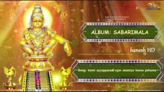 kanni ayyappanam njan swamiye kanan porunne 🎼 mg sreekumar 🎼 ks harisankar 🎼SABARIMALA 🔊 ࿗DhaneshHD࿗ [upl. by Eseerehc439]