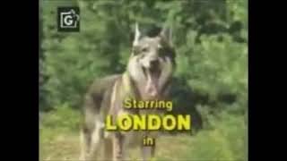 The Littlest Hobo theme song  quotMaybe Tomorrowquot [upl. by Gelya]