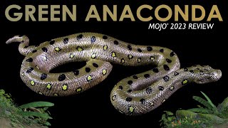 Mojo ® Green Anaconda  Grosse Anakonda  2023  Review Deutsch  German [upl. by Cleopatra]