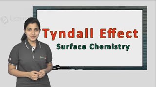 Tyndall Effect explained in a simple manner with an actual solved JEE Question [upl. by Sewel607]