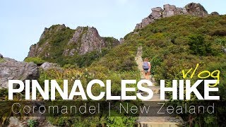 BEST HIKE IN THE COROMANDEL NEW ZEALAND   twoplustwocrew [upl. by Anawal]